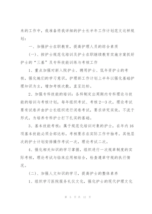 护士长个人工作计划3篇.docx