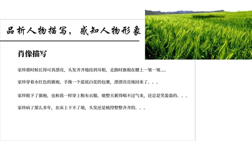 名著导读《活着》通用PPT模板