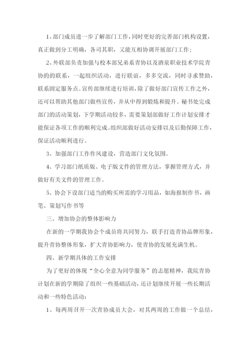 2023志愿者个人工作计划.docx