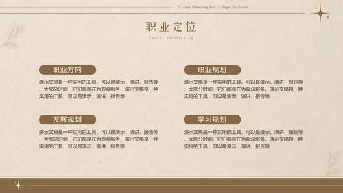 美拉德色大学生职业生涯规划PPT模板