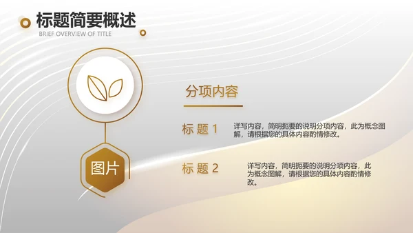 高档大气美发沙龙品牌介绍动态PPT模板