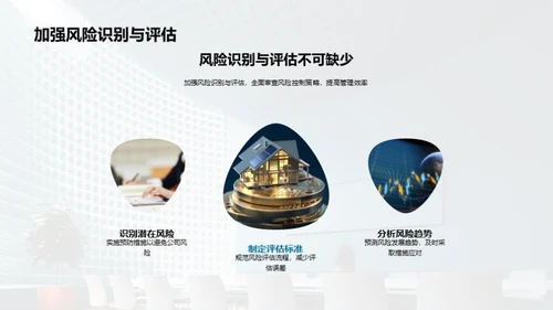 保险风险管理优化