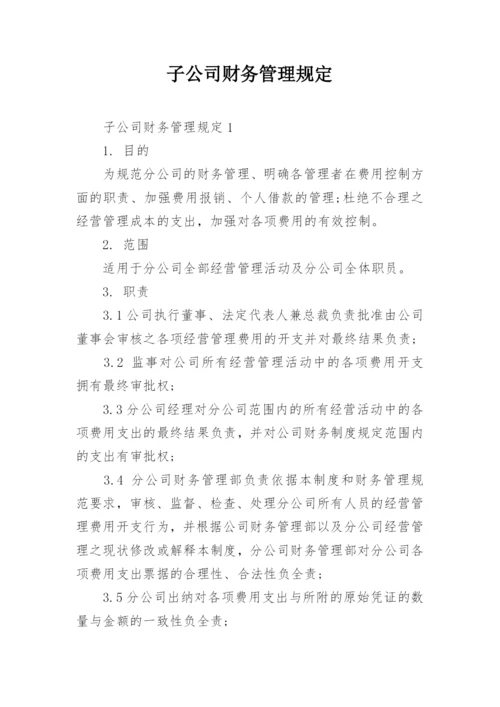 子公司财务管理规定.docx