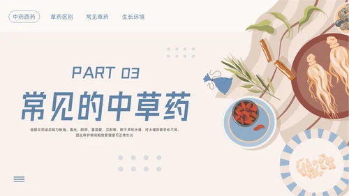 蓝色简约神奇中药草PPT模板宣传PPT动态PPT中医药