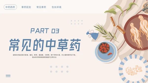 蓝色简约神奇中药草PPT模板宣传PPT动态PPT中医药