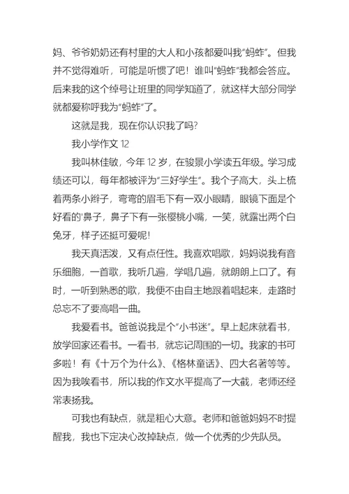 我小学作文集锦15篇