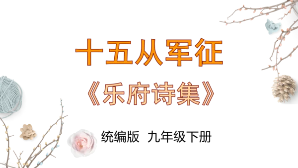 第24课《十五从军征》精品实用高效课件(共18张PPT)