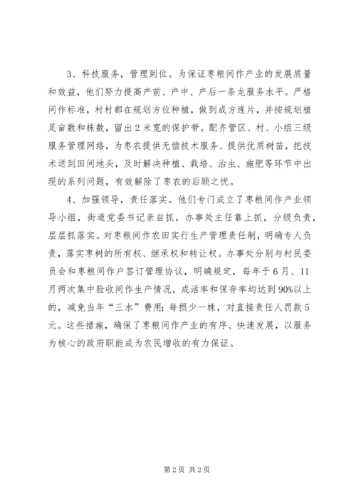 兴办事处大力发展枣粮间作产业.docx