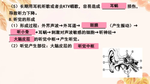 第四单元第五、六章复习课件(共33张PPT)人教版七年级下册