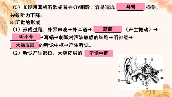 第四单元第五、六章复习课件(共33张PPT)人教版七年级下册