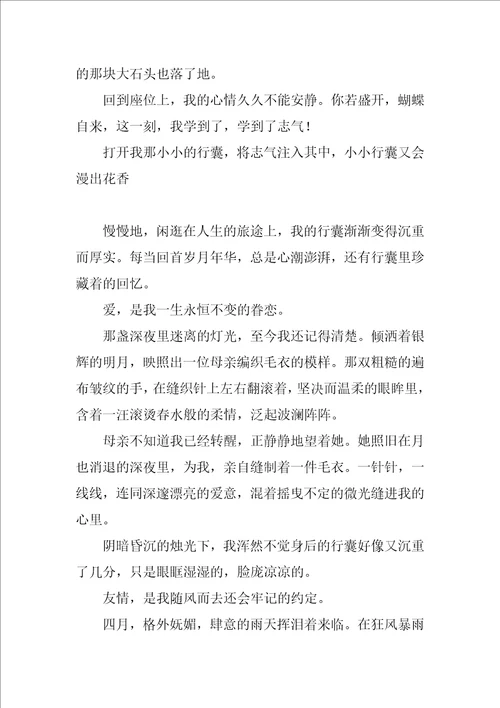 我的行囊作文