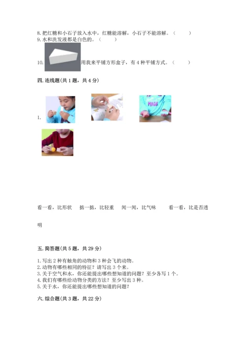 教科版一年级下册科学期末测试卷【b卷】.docx