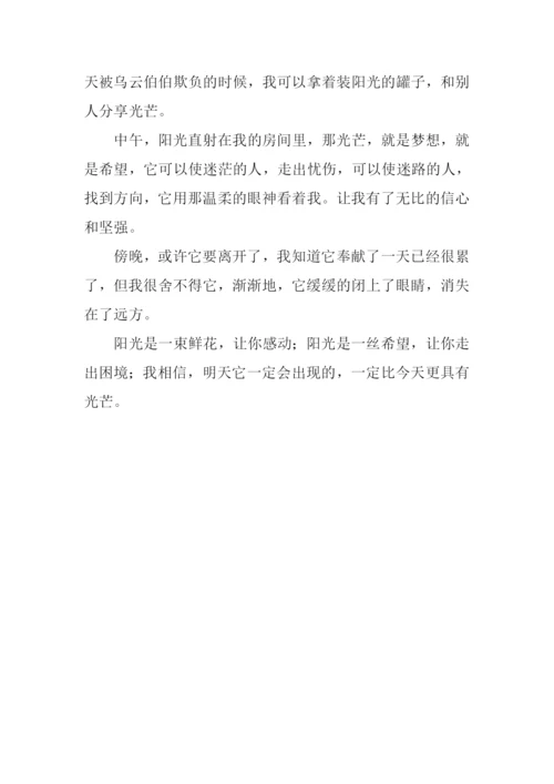 收集阳光作文400字.docx