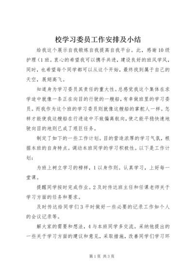 校学习委员工作安排及小结.docx