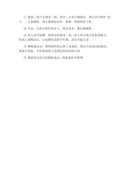幼儿园主题活动教案插柳.docx
