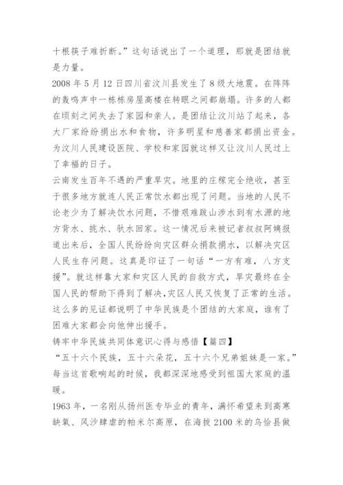 铸牢中华民族共同体意识心得与感悟.docx