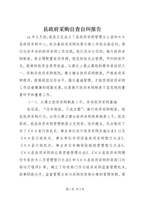 县政府采购自查自纠报告.docx