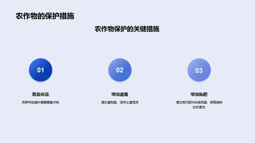 小寒节气下的农作物管理