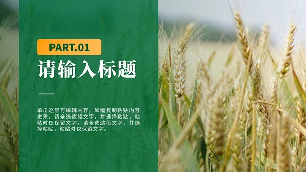绿色简约实景全民推进乡村振兴PPT模板