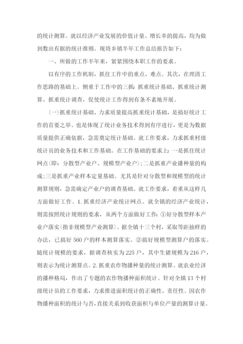 乡镇统计个人工作总结.docx