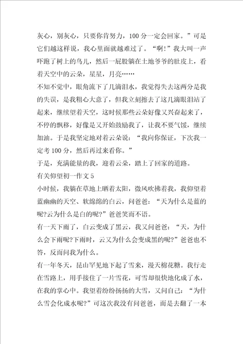 有关仰望初一作文