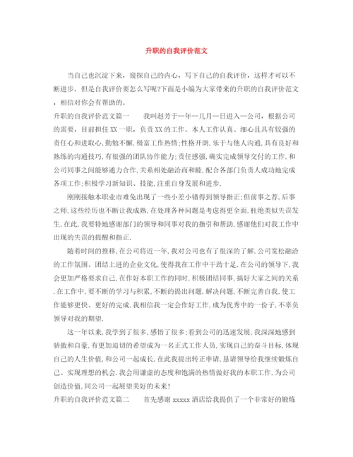 精编之升职的自我评价范文.docx