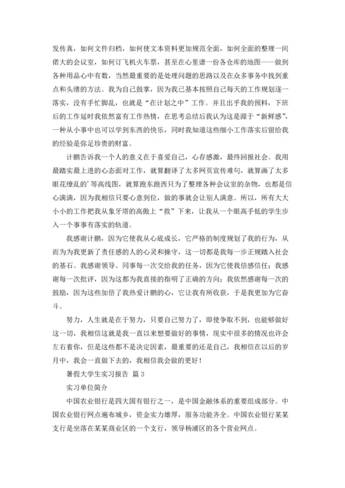 有关暑假大学生实习报告三篇.docx