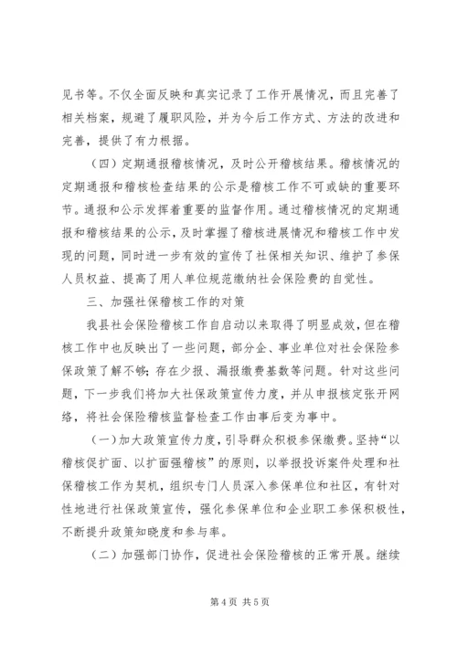 县社会保险稽核工作汇报.docx