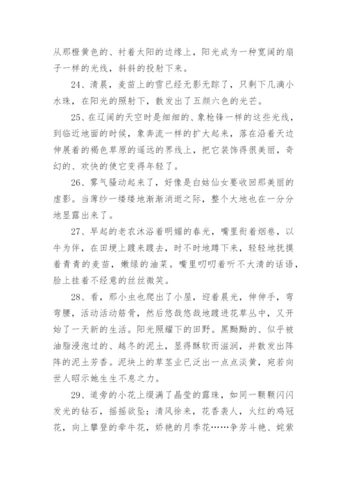 描写夏天优美句子.docx