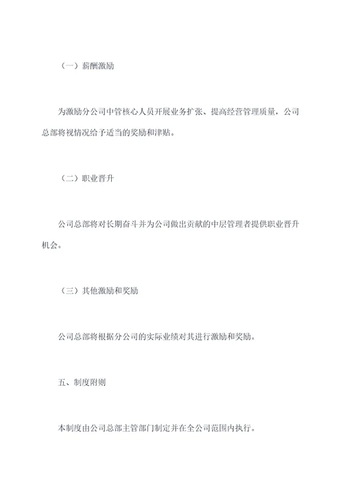 分公司分级管理制度