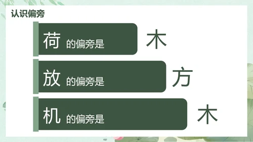 部编版一年级下册《荷叶圆圆》