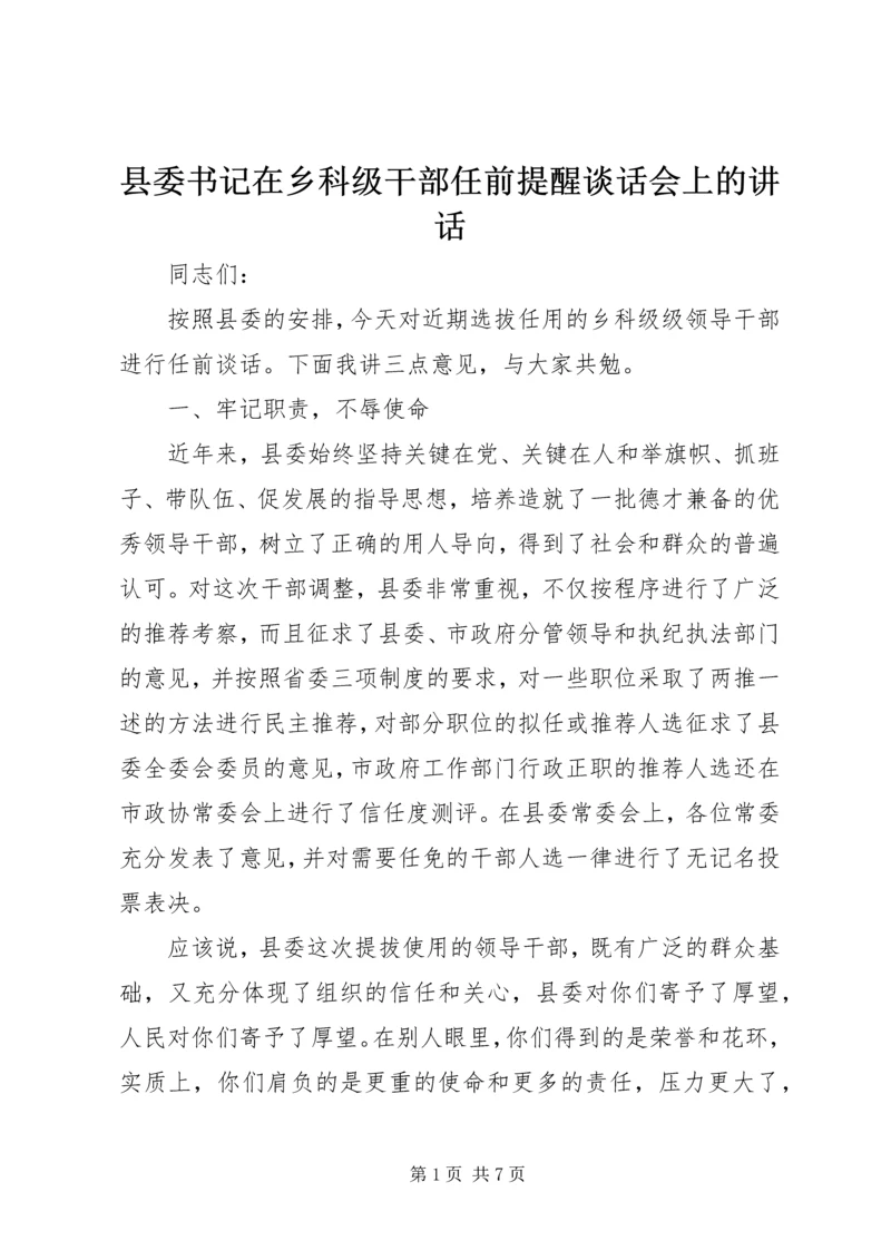 县委书记在乡科级干部任前提醒谈话会上的讲话.docx