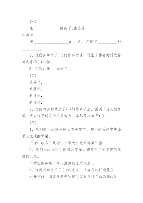 小升初语文阅读理解专项练习试题.docx