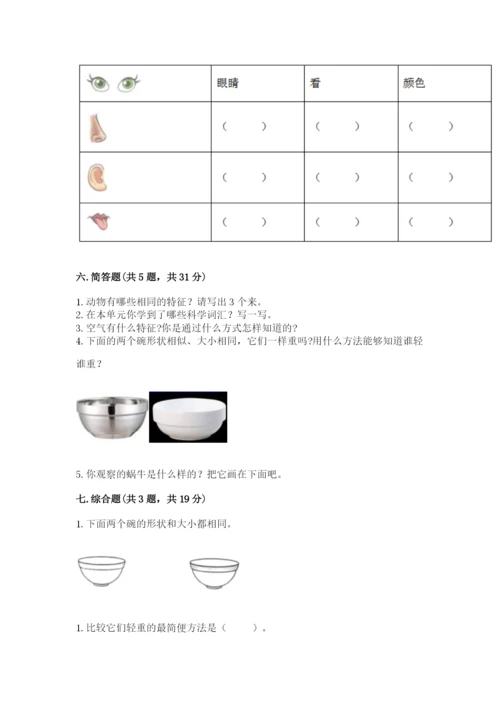 教科版一年级下册科学期末测试卷及参考答案（轻巧夺冠）.docx