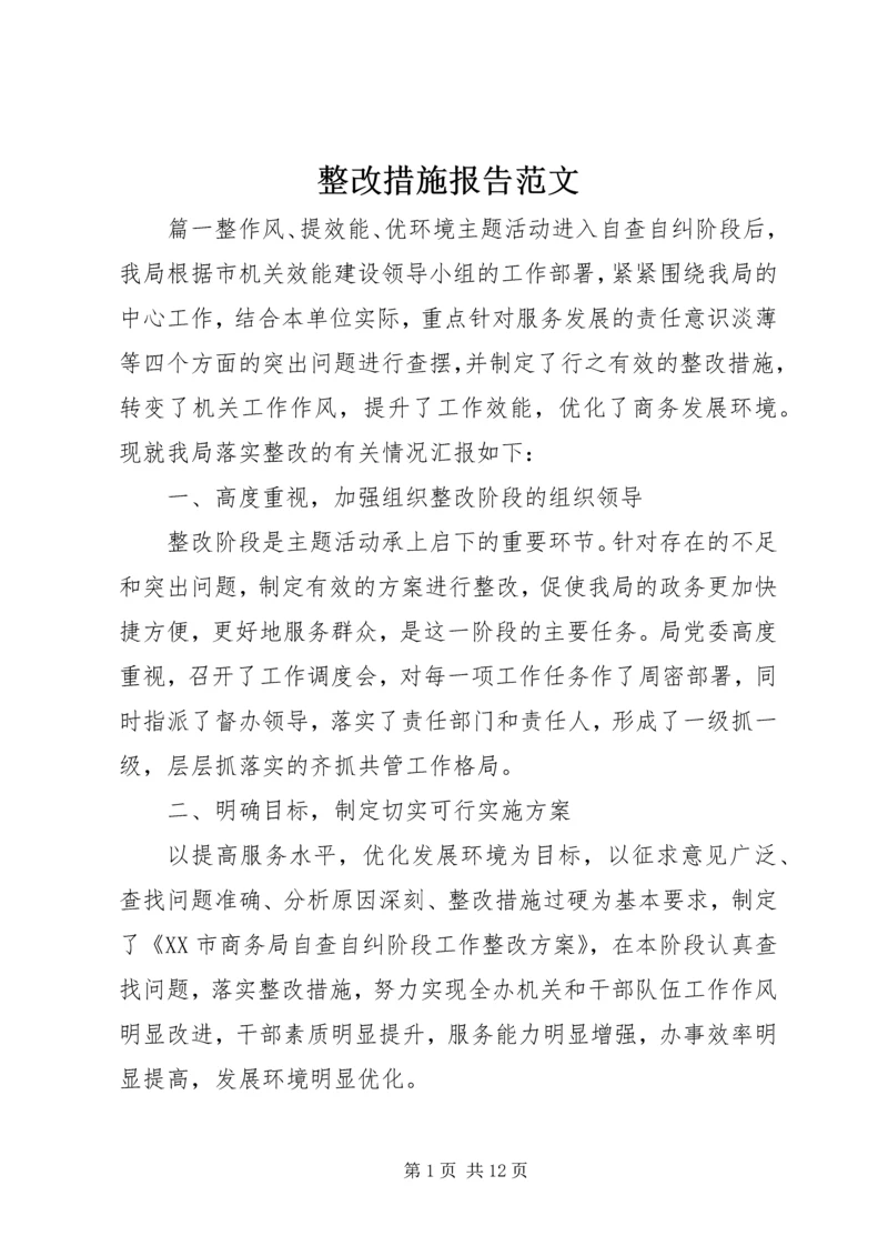 整改措施报告范文.docx