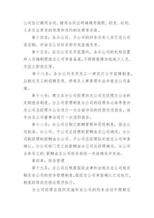 分公司管理制度_3.docx