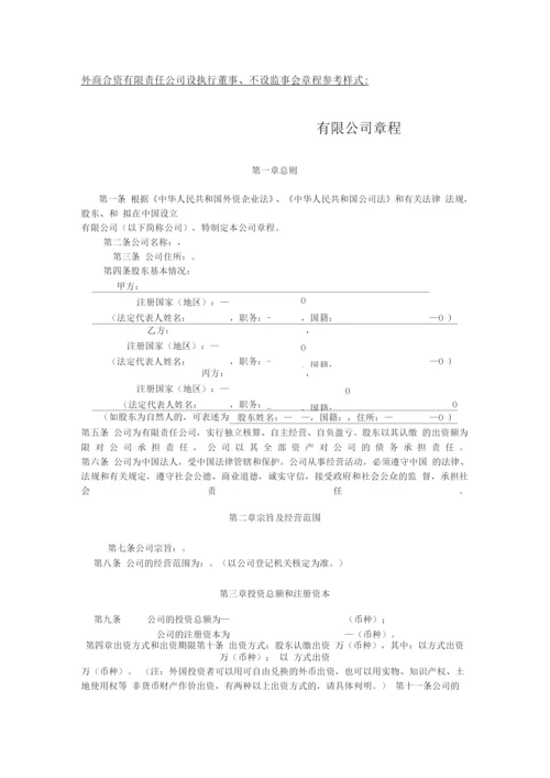 外商合资有限责任公司设执行董事、不设监事会章程参考样式.docx
