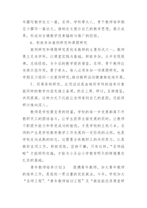 青年教师培养计划.docx