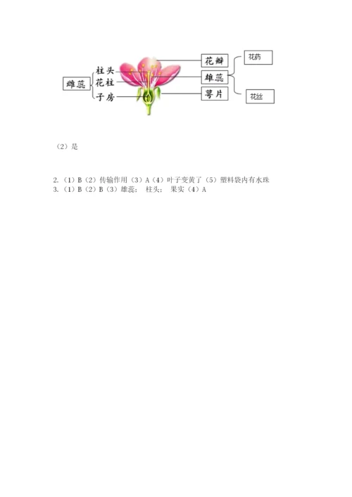 科学四年级下册第一单元植物的生长变化测试卷（实用）.docx