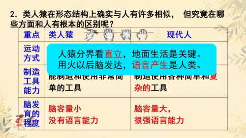 初中生物学人教版（新课程标准）七年级下册4.1.1 人的起源和发展课件(共18张PPT)