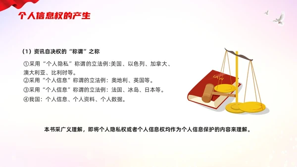红色简约个人信息保护法PPT模板宣传PPT动态PPT法律