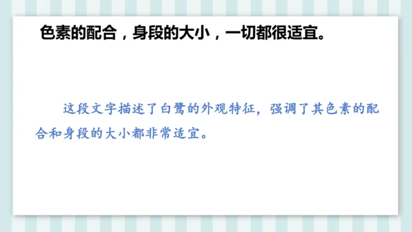 1《白鹭》课件