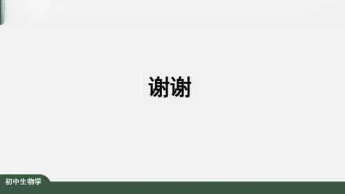 2.1.3 动物细胞 课件（共32张PPT）