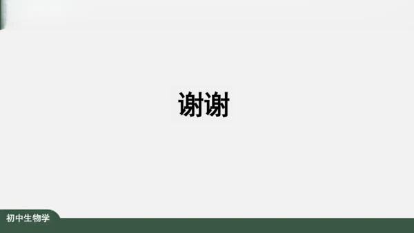 2.1.3 动物细胞 课件（共32张PPT）