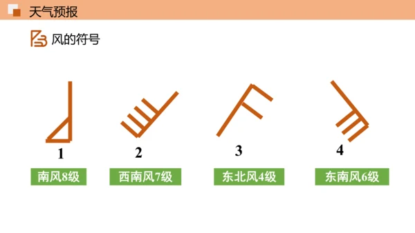 3.1 多变的天气精品课件(共36张PPT)