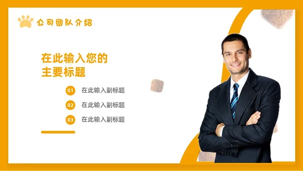 橙色简约宠物行业商业计划书PPT