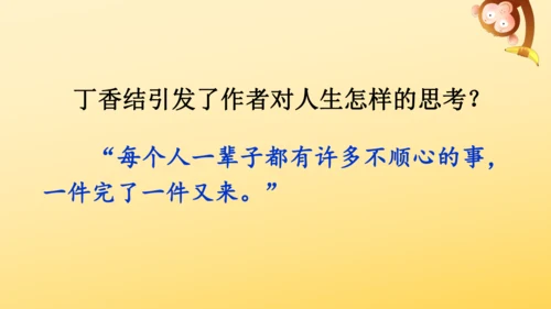2 丁香结  课件