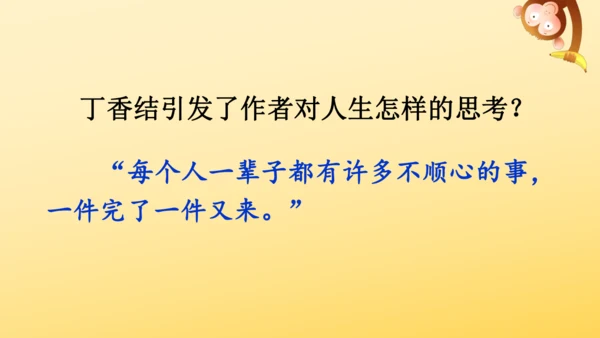 2 丁香结  课件