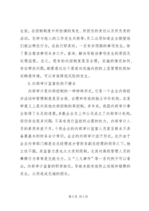 企业内部控制制度探讨.docx