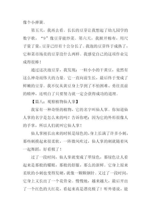 小学四年级观察作文-1.docx